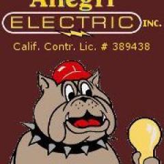 Allegri Electric (1349926)